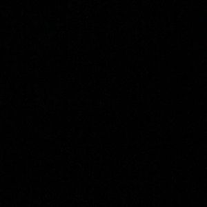 Meet your Posher, Elise